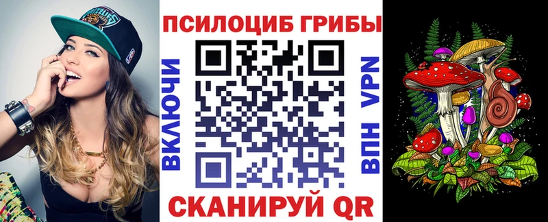 Псилоцибиновые грибы Psilocybine cubensis  мега   Мончегорск 